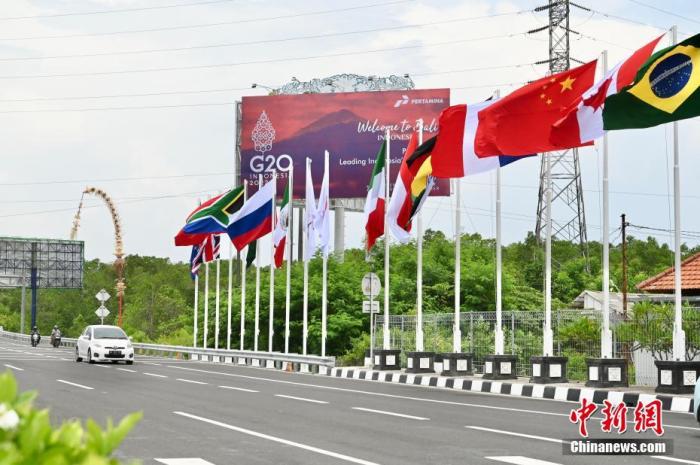 印尼巴厘島道路上G20成員國的國旗及歡迎海報(bào)。 中新社記者 李志華 攝